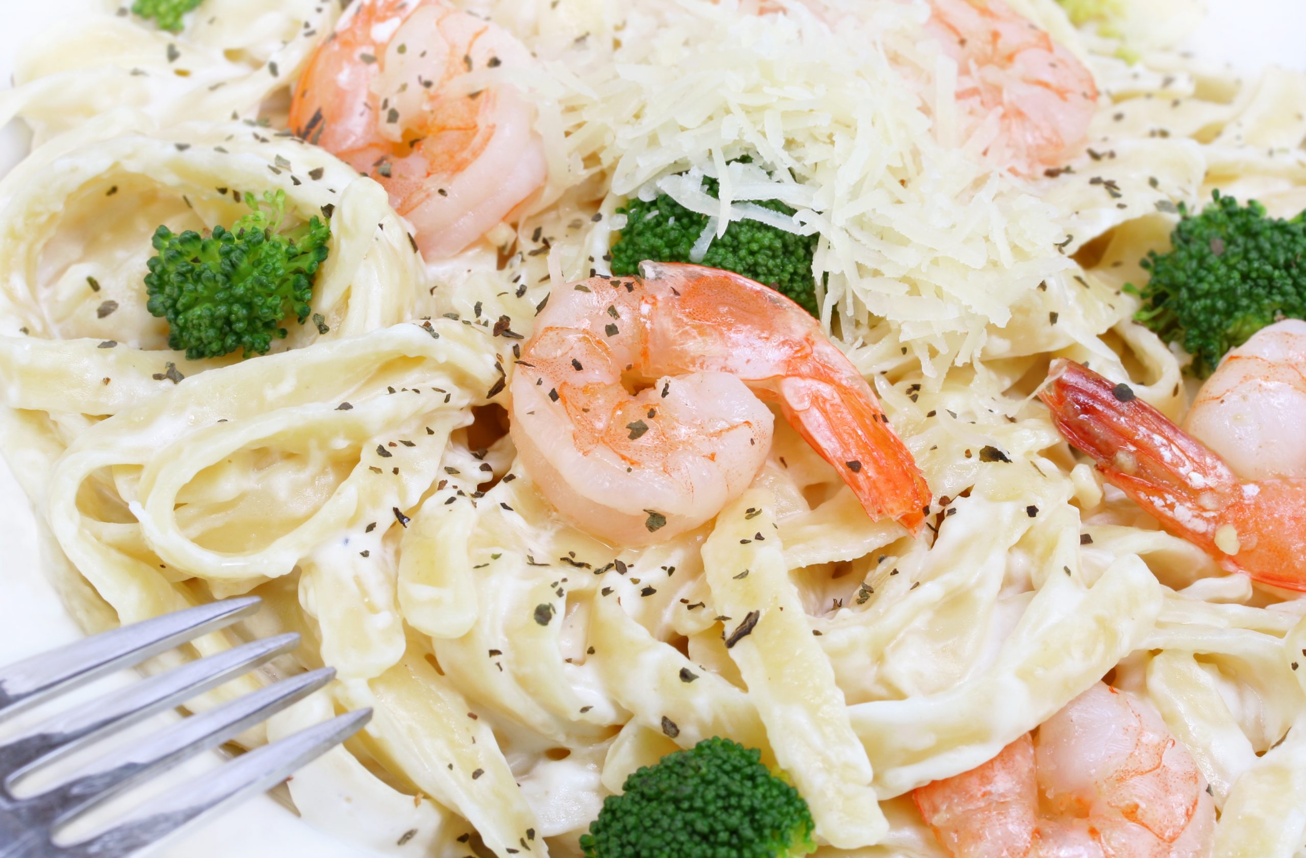 Shrimp Alfredo